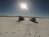 Snowkiting Intro with Kite Club NY